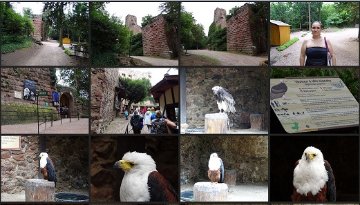 Photostation20140720-Alsace2